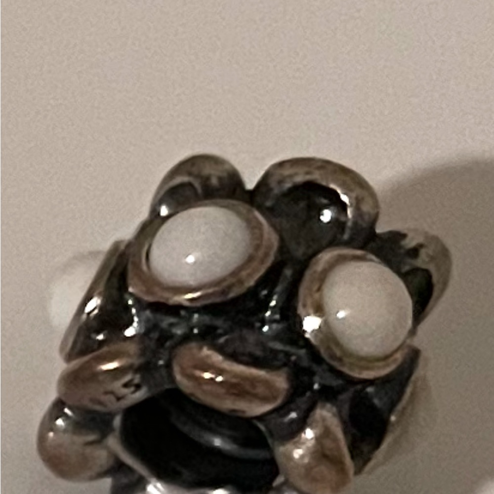 Pandora Silver and White Charm